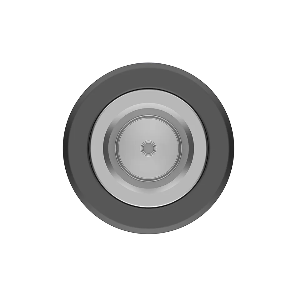 Reach RS4 & RS4 Pro LoRa Antenna 860-930 MHz